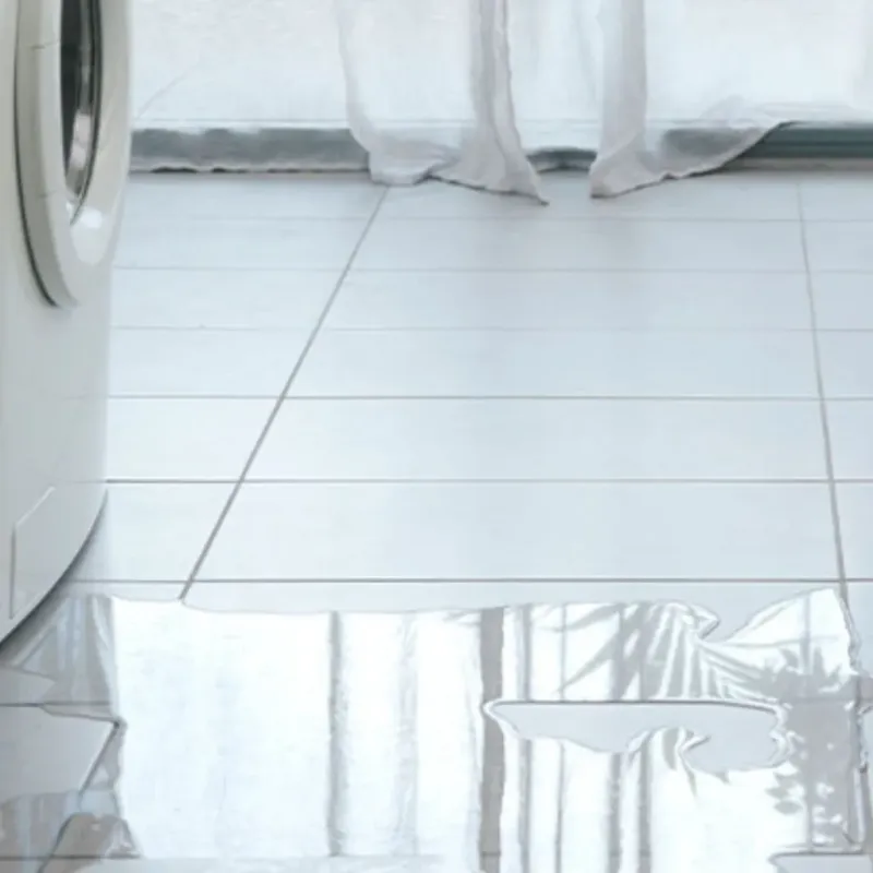 Appliance Leak Cleanup in Lofall, WA