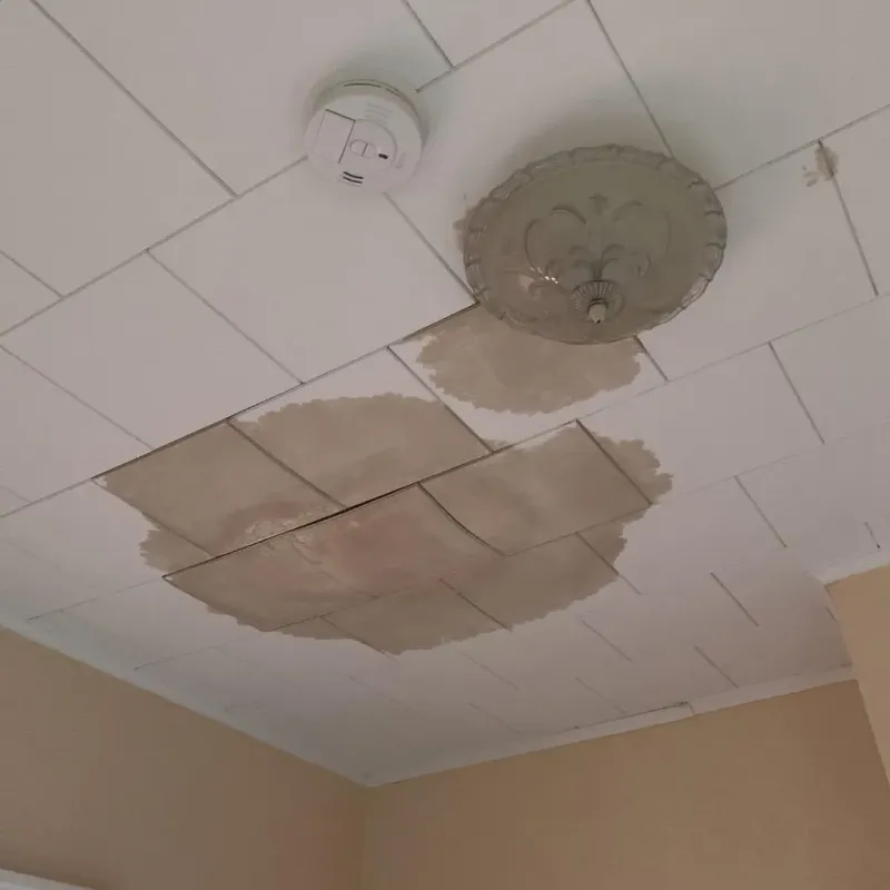 Ceiling Water Damage Repair in Lofall, WA
