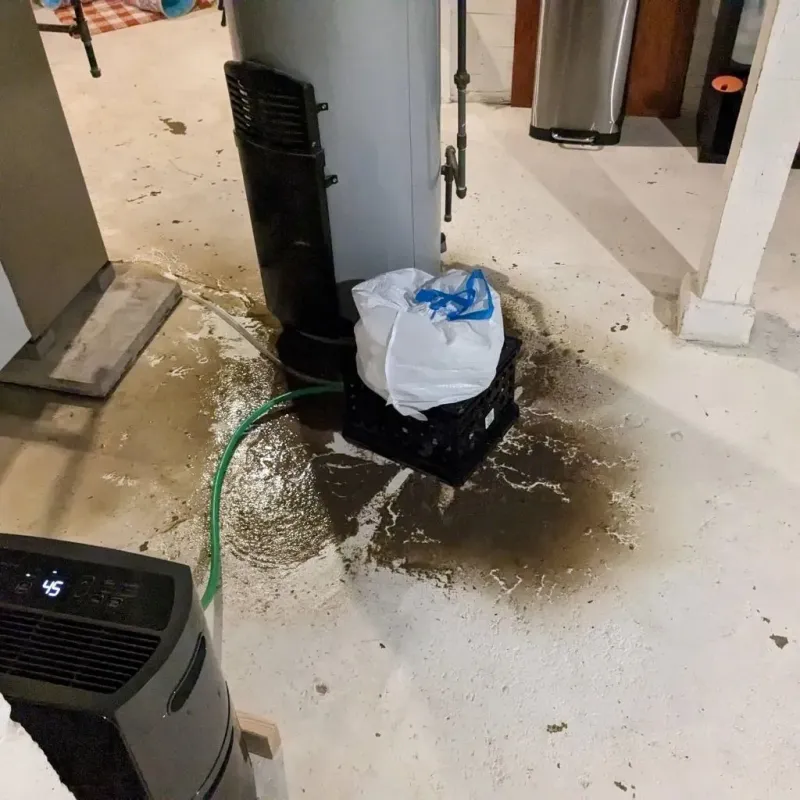 Sewage Backup Cleanup Service in Lofall, WA
